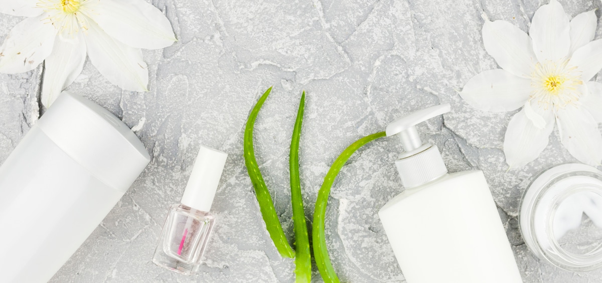 An aloe plant, flowers, and lotion bottles on a gray background.